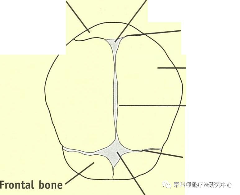 640 (3).png